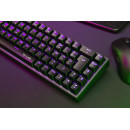 The G-Lab Combo Titanium clavier Souris incluse Gaming USB AZERTY Français Titane