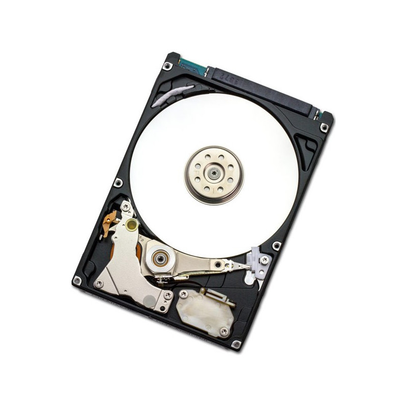 Western Digital Endurastar J4K320 100GB disque dur 100 Go 4200 tr min 8 Mo 2.5" SATA