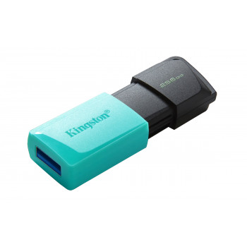 Kingston Technology DataTraveler 256GB USB3.2 Gen1 Exodia M (Noir + Turquoise)