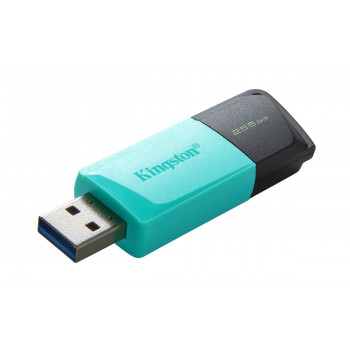 Kingston Technology DataTraveler 256GB USB3.2 Gen1 Exodia M (Noir + Turquoise)