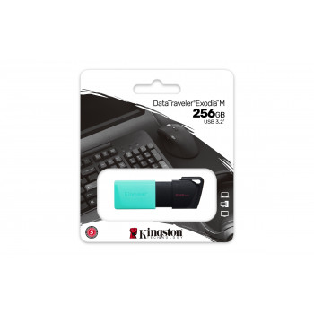 Kingston Technology DataTraveler 256GB USB3.2 Gen1 Exodia M (Noir + Turquoise)