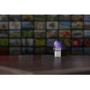 Kingston Technology DataTraveler 256 Go microDuo 3C 200 Mo s dual USB-A + USB-C