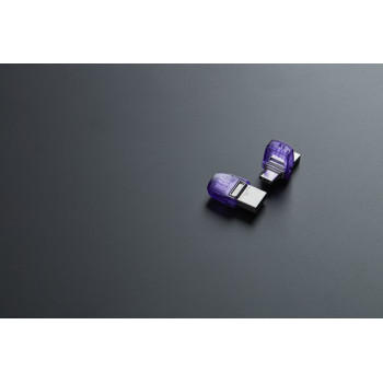 Kingston Technology DataTraveler 256 Go microDuo 3C 200 Mo s dual USB-A + USB-C