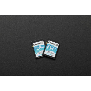 Kingston Technology Canvas Go! 512 Go SDXC UHS-I Classe 10