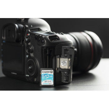 Kingston Technology Canvas Go! 512 Go SDXC UHS-I Classe 10