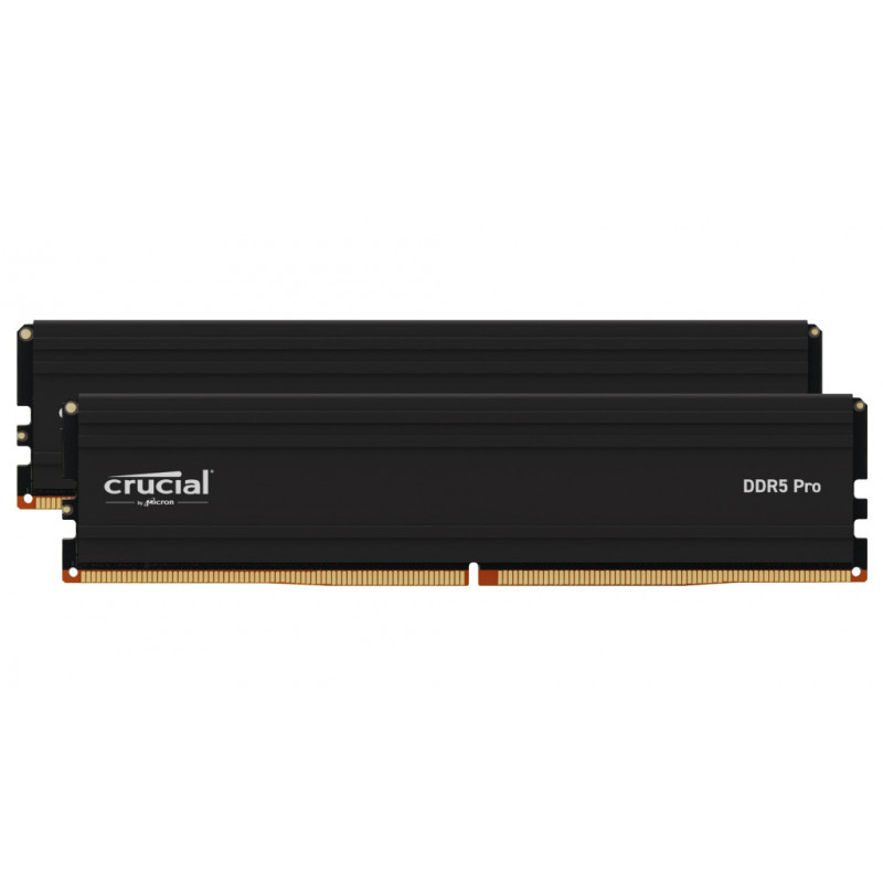 Crucial Pro CP2K24G60C48U5 module de mémoire 48 Go 2 x 24 Go DDR5