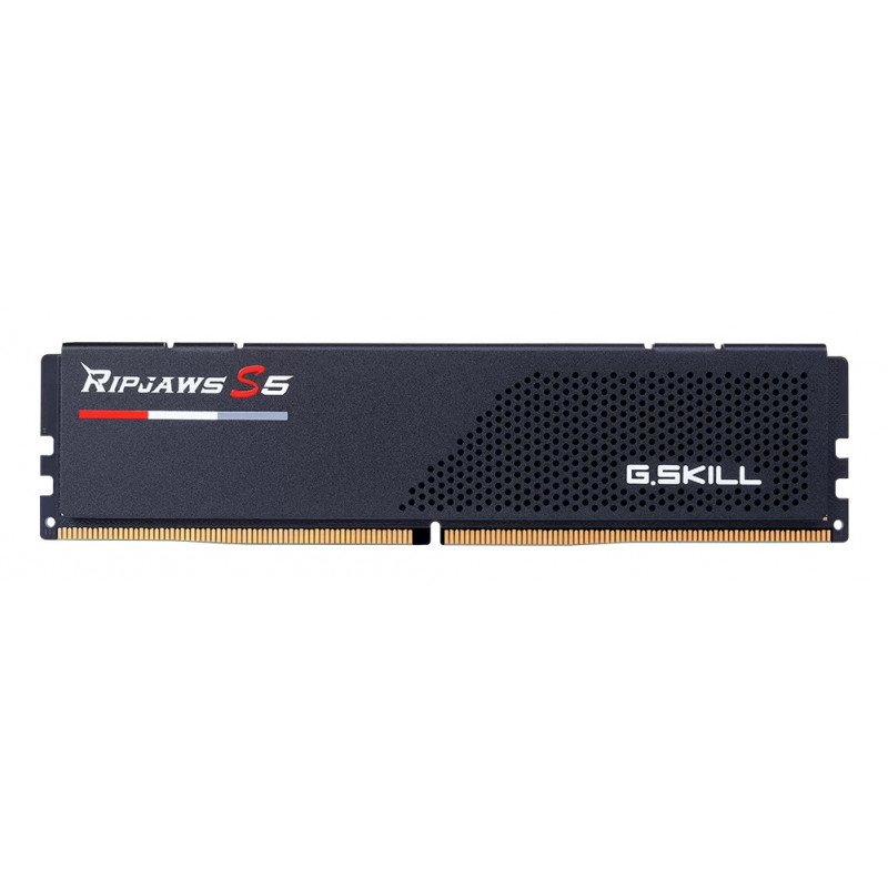 G.Skill Ripjaws S5 F5-6000J3636F16GX1-RS5K module de mémoire 16 Go 1 x 16 Go DDR5 6000 MT s 288-pin DIMM