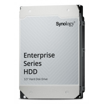 Synology HAT5320-24T disque dur 24 To 7200 tr min 1024 Mo 3.5" Série ATA III