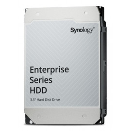 Synology HAT5320-24T disque dur 24 To 7200 tr min 1024 Mo 3.5" Série ATA III