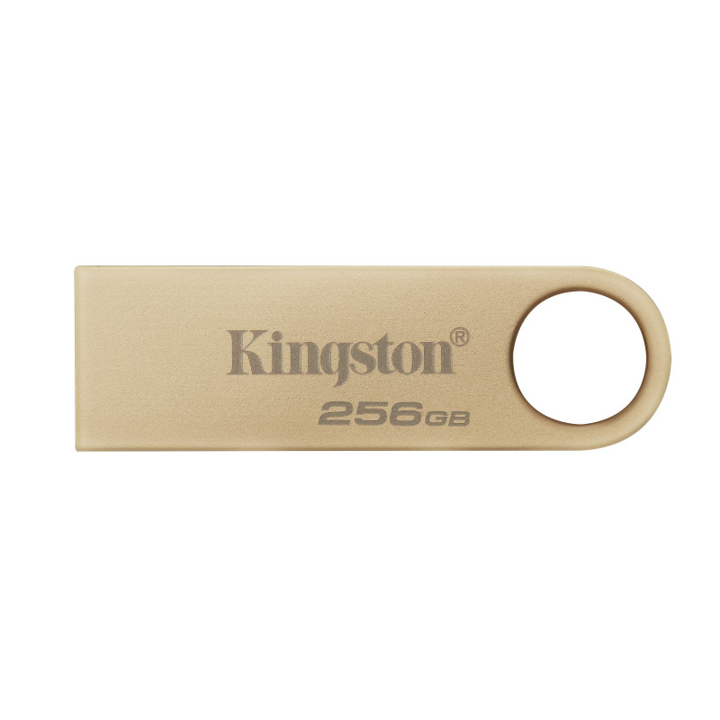 Kingston Technology DataTraveler 256Go 220Mo s Clé USB 3.2 Gen 1 Métal SE9 G3