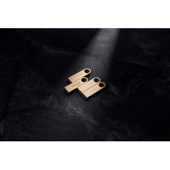 Kingston Technology DataTraveler 256Go 220Mo s Clé USB 3.2 Gen 1 Métal SE9 G3