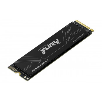 Kingston Technology 4T FURY RENEGADE G5 M.2 2280 NVMe SSD