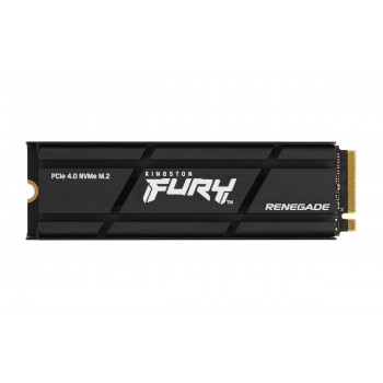 Kingston Technology 1000G RENEGADE PCIe 4.0 NVMe SSD W  Radiateur de dissipation thermique