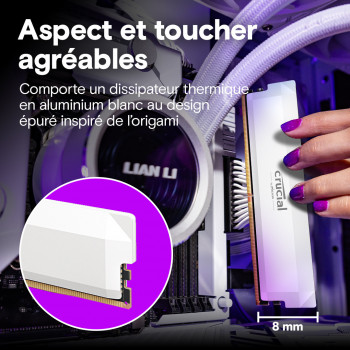 Crucial Pro CP2K32G60C40U5W module de mémoire 64 Go 2 x 32 Go DDR5 288-pin DIMM