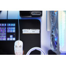 Kingston Technology FURY Beast 32 Go 6000 MT s DDR5 CL30 DIMM (Kits de 2) White EXPO