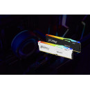 Kingston Technology FURY Beast 32 Go 5600 MT s DDR5 CL36 DIMM (Kits de 2) RGB