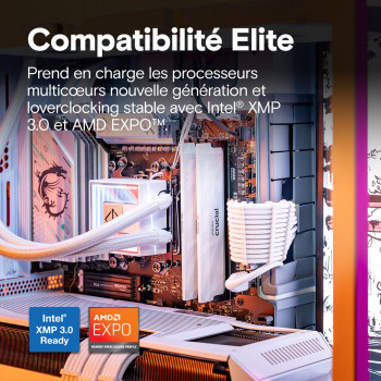 Crucial Pro CP2K16G64C32U5W module de mémoire 32 Go 2 x 16 Go DDR5 6400 MT s 288-pin DIMM