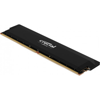 Crucial Pro CP16G60C36U5B module de mémoire 16 Go DDR5 288-pin DIMM ECC