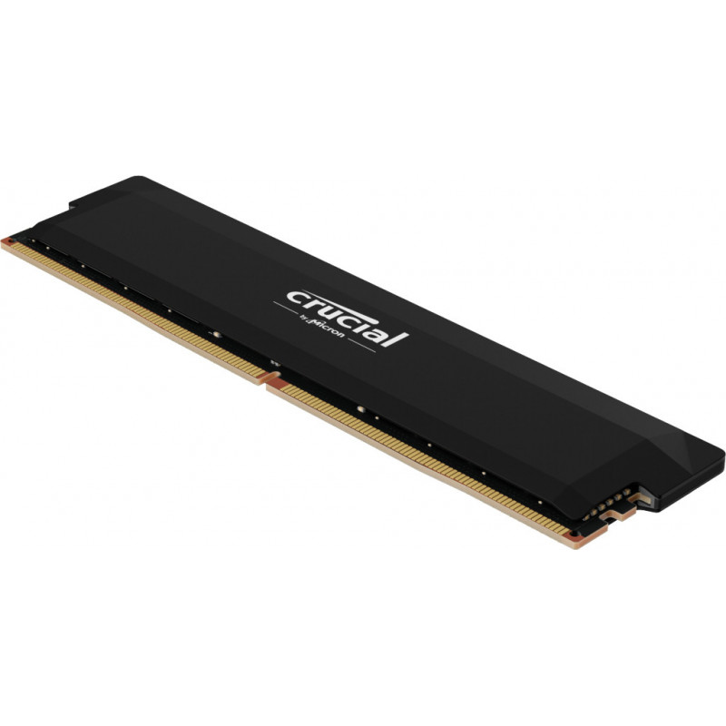 Crucial Pro CP16G60C36U5B module de mémoire 16 Go DDR5 288-pin DIMM ECC