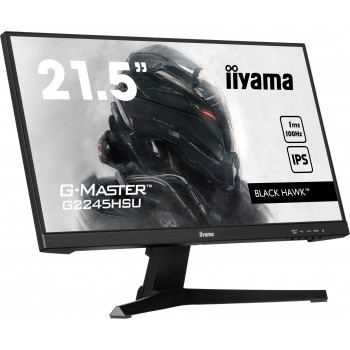 iiyama G-MASTER G2245HSU-B2 écran plat de PC 54,6 cm (21.5") 1920 x 1080 pixels Full HD LED Noir