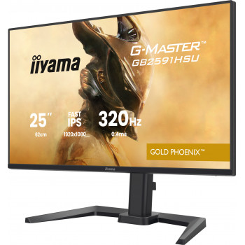 iiyama G-MASTER GB2591HSU-B1 écran plat de PC 62,2 cm (24.5") 1920 x 1080 pixels Full HD LED Noir