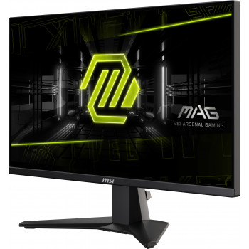 MSI MAG 255F E20 écran plat de PC 62,2 cm (24.5") 1920 x 1080 pixels Full HD LCD Noir