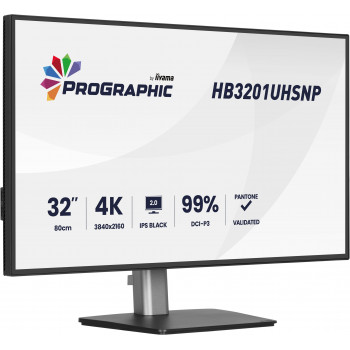 iiyama ProGraphic HB3201UHSNP-B1 écran plat de PC 80 cm (31.5") 3840 x 2160 pixels Noir