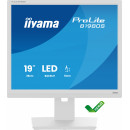 iiyama ProLite B1980S-W1 écran plat de PC 48,3 cm (19") 1280 x 1024 pixels SVGA LED Blanc