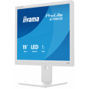iiyama ProLite B1980S-W1 écran plat de PC 48,3 cm (19") 1280 x 1024 pixels SVGA LED Blanc