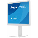 iiyama ProLite B1980S-W1 écran plat de PC 48,3 cm (19") 1280 x 1024 pixels SVGA LED Blanc