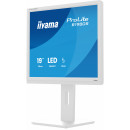 iiyama ProLite B1980S-W1 écran plat de PC 48,3 cm (19") 1280 x 1024 pixels SVGA LED Blanc