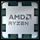 AMD Ryzen 7 7700 processeur 3,8 GHz 32 Mo L3 Plateau