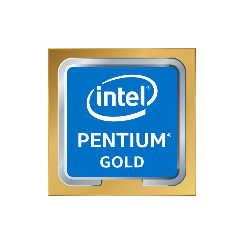 Intel Pentium Gold G6405 processeur 4,1 GHz 4 Mo Smart Cache Plateau