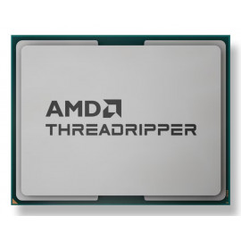 AMD Ryzen Threadripper 9960X processeur 4,2 GHz 128 Mo L3 Boîte