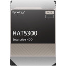Synology HAT5300 disque dur 12 To 7200 tr min 256 Mo 3.5" Série ATA III