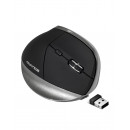ADVANCE S-V185RF souris Bureau Droitier RF sans fil 2400 DPI