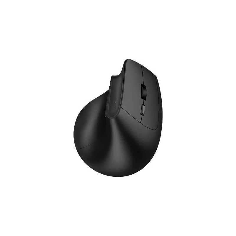Dacomex V250-WBT-G souris Bureau Droitier Wi-Fi Optique 2400 DPI