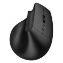 Dacomex V250-WBT-G souris Bureau Droitier Wi-Fi Optique 2400 DPI