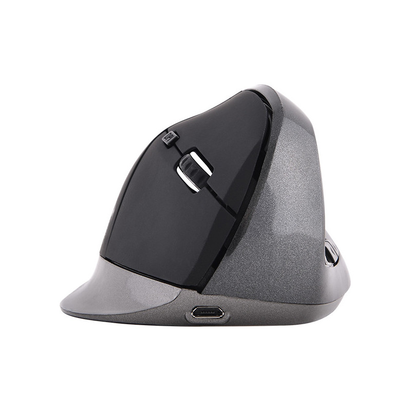 Bluestork M-WL-ERGO-BK souris Bureau Droitier RF sans fil 1200 DPI