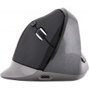 Bluestork M-WL-ERGO-BK souris Bureau Droitier RF sans fil 1200 DPI