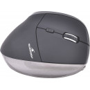 Bluestork M-WL-ERGO-BK souris Bureau Droitier RF sans fil 1200 DPI