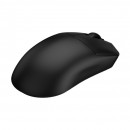 COUGAR CGR-NLNB-RP4 souris Gaming Ambidextre RF Wireless + USB Type-A Optique 26000 DPI