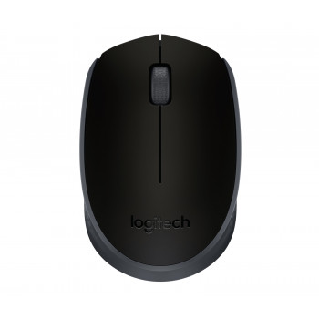 Logitech M171
