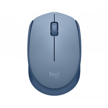 Logitech M171