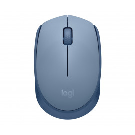 Logitech M171
