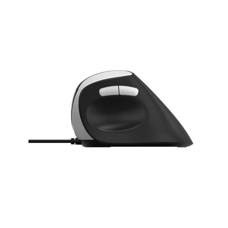 Rapoo EV200 souris Bureau Droitier USB Type-A Optique 1600 DPI