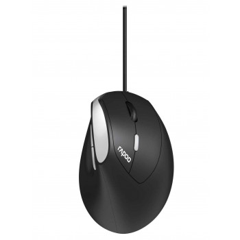 Rapoo EV200 souris Bureau Droitier USB Type-A Optique 1600 DPI