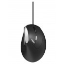 Rapoo EV200 souris Bureau Droitier USB Type-A Optique 1600 DPI