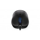 ENDORFY GEM Plus souris Gaming Droitier USB Type-C Optique 19000 DPI
