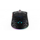 ENDORFY LIX Plus souris Gaming Droitier USB Type-C Optique 19000 DPI